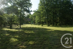 terrain à la vente -   33590  SAINT VIVIEN DE MEDOC, surface 3960 m2 vente terrain - UBI433019951